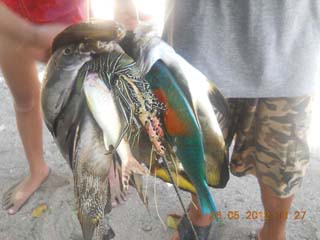 Fishing At Calatagan Batangas